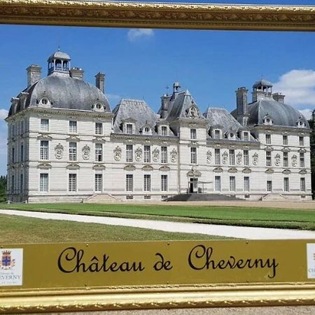 Les Capucines Proche Beauval & Chateaux Saint-Aignan  Exteriör bild
