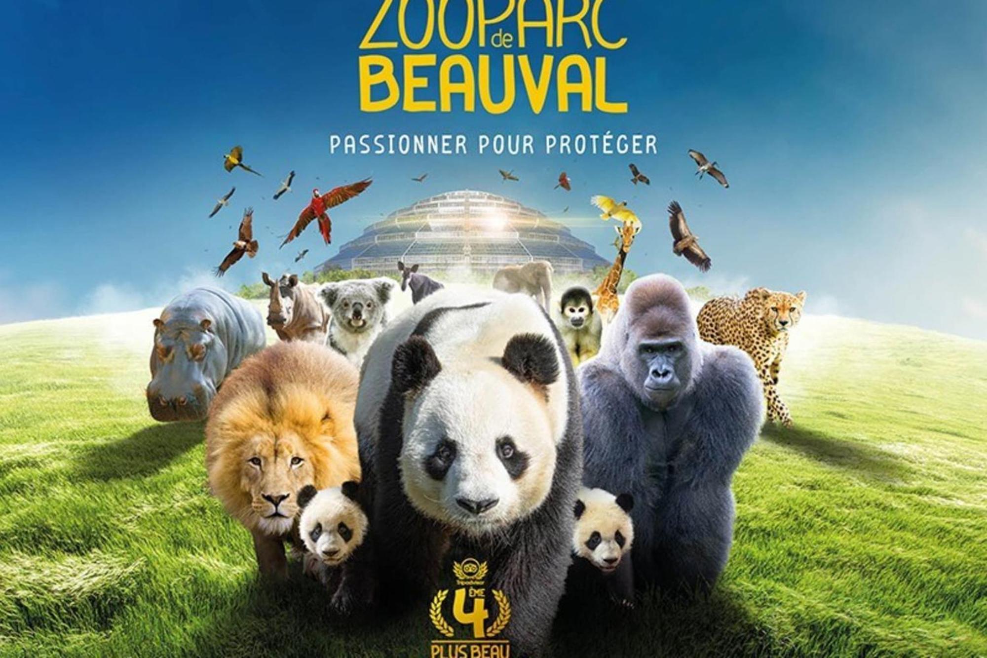 Les Capucines Proche Beauval & Chateaux Saint-Aignan  Exteriör bild